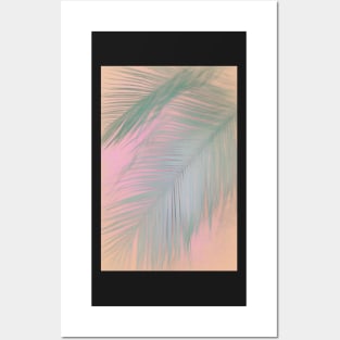 Pastel Palm Leaf Posters and Art